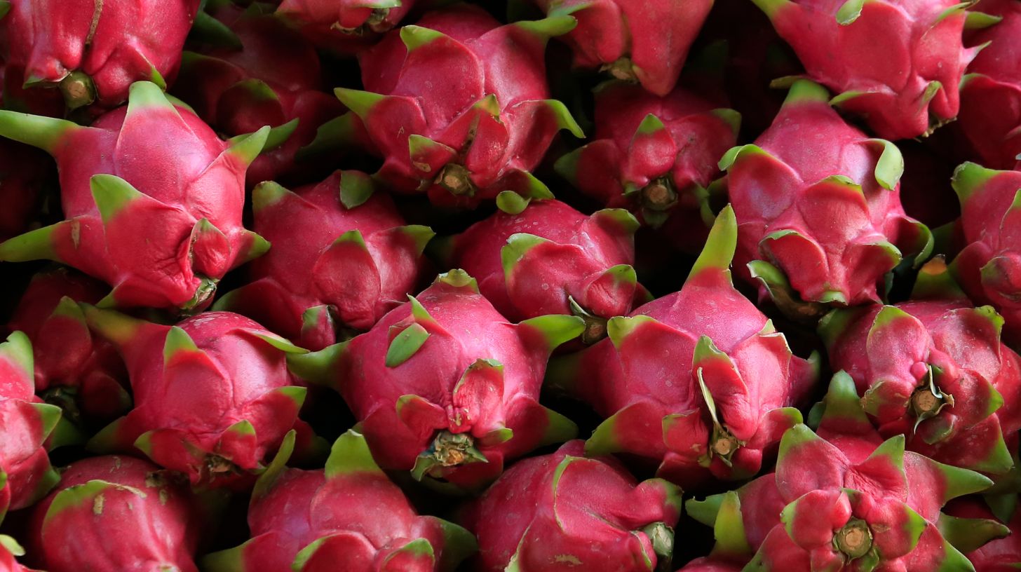 Can Chickens Eat Dragon Fruit? Find Out The Surprising Answer